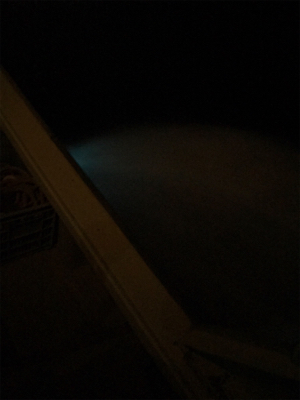 (釣行 其の弐拾九)