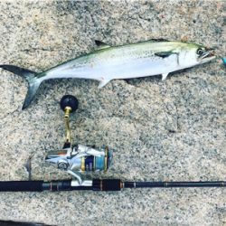 サゴシ祭り〜！