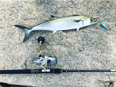 サゴシ祭り〜！