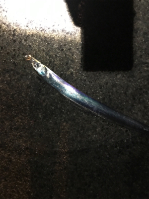 アナゴ釣りたくて