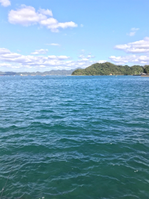 アオリイカ釣果