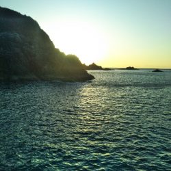 和丸渡船にお世話になりました