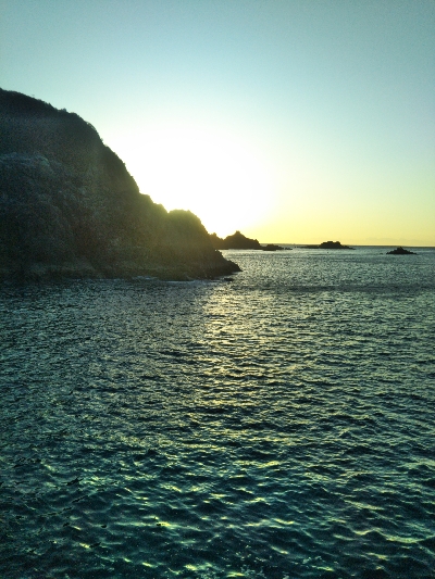 和丸渡船にお世話になりました