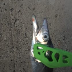 渋かった 寒かった（苦笑）