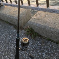 タチウオリベンジ