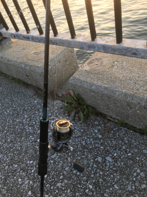 タチウオリベンジ