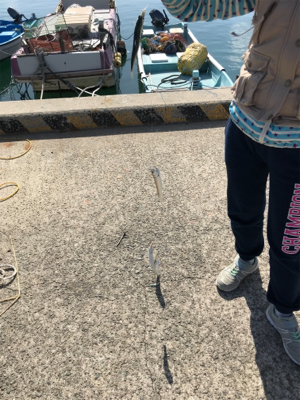 またまた5種目達成！