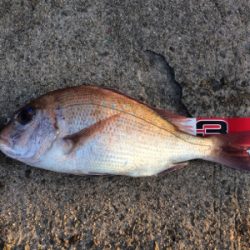 平磯で紅葉狩り