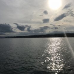 泳がせ釣り&サビキ釣り