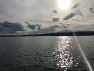 泳がせ釣り&サビキ釣り