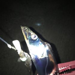 ラインブレイク時合い短い。