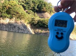 どストライク！！