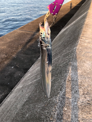 二週連続ノマセ好調！