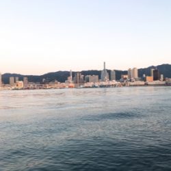 渋いタチウオワインド