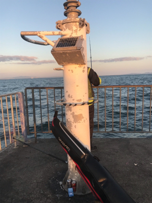 太刀魚釣れすぎ