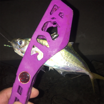 大阪湾奥ワインド 秋本番!鶴浜緑地で高活性