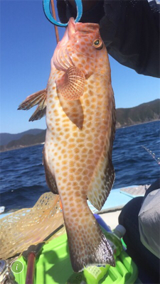 紀北タイラバ釣行