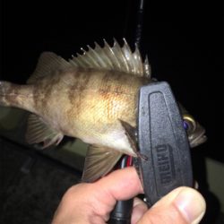 ラインブレーク