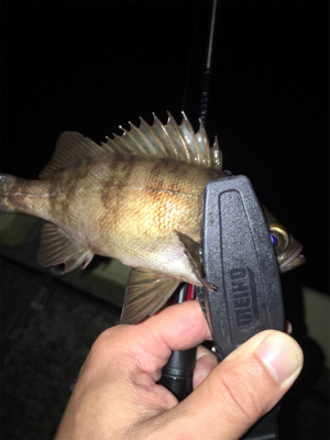 ラインブレーク