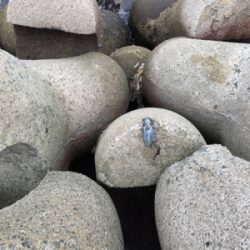 ランガンするも、、、