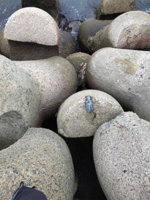 ランガンするも、、、