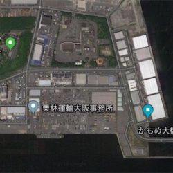 やや渋い中でのタチウオ！