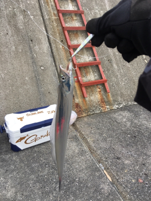 ショアジギ ノマセの二本立て