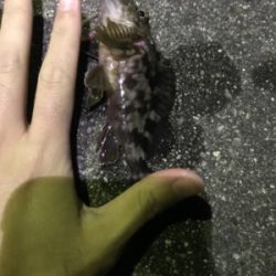 五目ライトゲーム