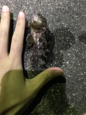 五目ライトゲーム