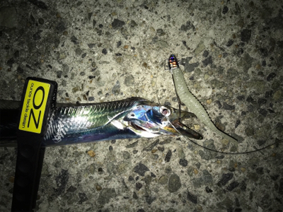 タチカッターにもめげずにFLAP