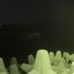 エギング断念からのいつもの場所で短時間