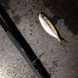 アジュールアジング