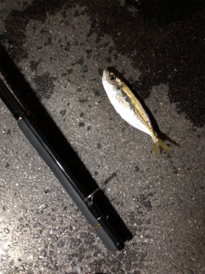 アジュールアジング