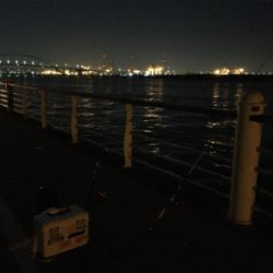 アタリが多いです