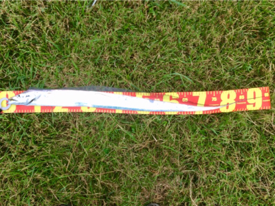 LSJigginger0658〜0735