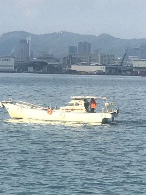 サゴッちゃんとサヨリちゃん