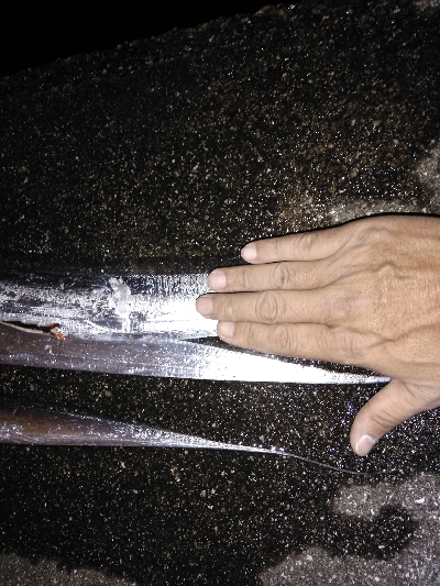 タチウオ大きくなってきた?