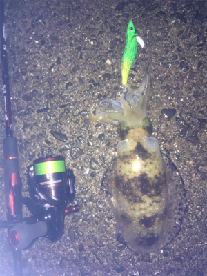 エギングパーティー！