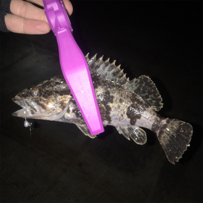 大阪湾奥アジング 渋い時のリグの選択