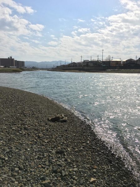 ハゼ釣りたのしー