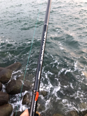 太刀魚…サイズがアップしないなぁ