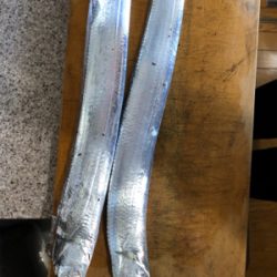 久しぶりのタチウオ