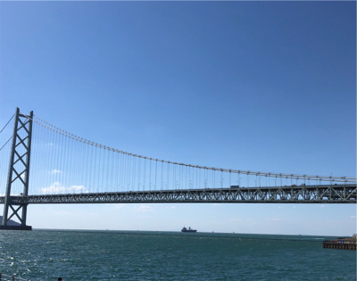 久しぶりのアオリイカ