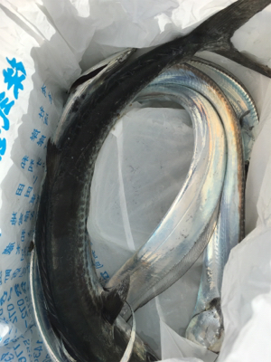 アタリはあるけど