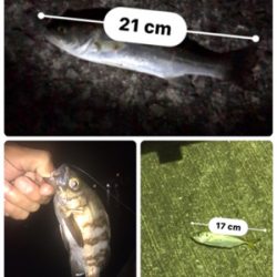 釣友会メンバーと