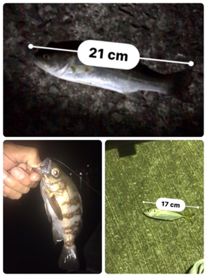 釣友会メンバーと