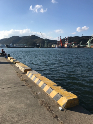 サビキでイワシ