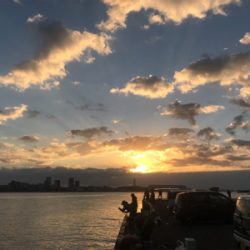 太刀魚オンリー