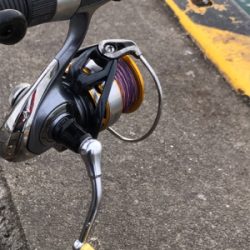 DAYノマセタチウオ