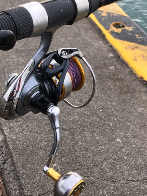 DAYノマセタチウオ